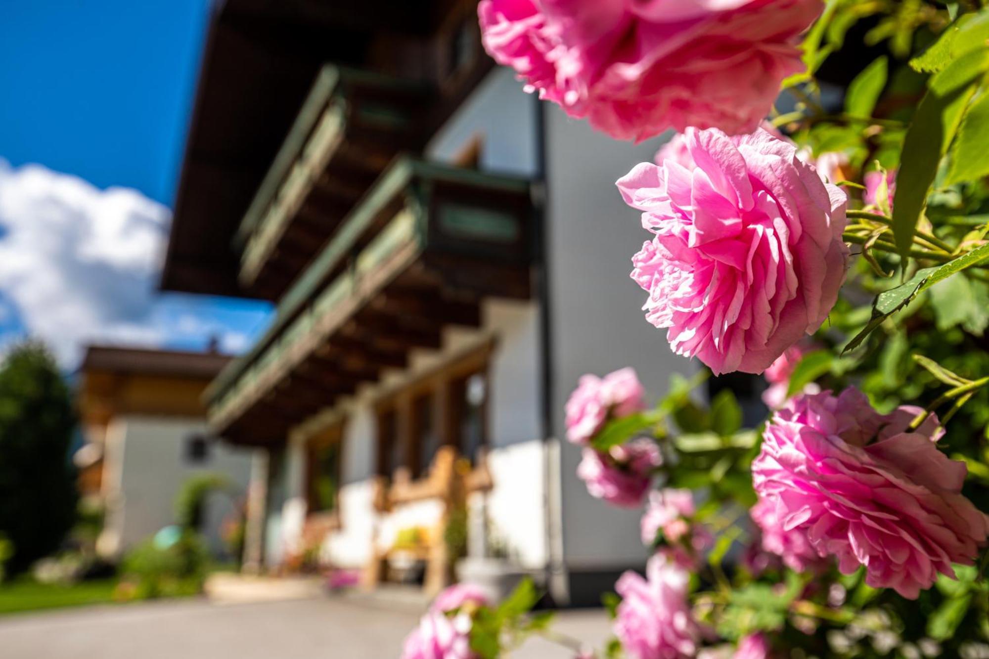 Holiday Im Gaestehaus Warter In Altenmarkt Altenmarkt im Pongau Exteriér fotografie