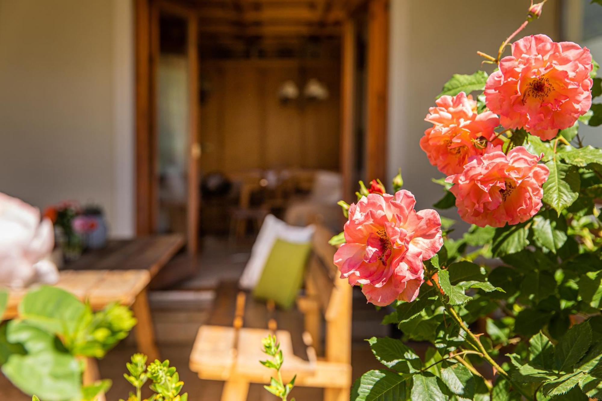Holiday Im Gaestehaus Warter In Altenmarkt Altenmarkt im Pongau Exteriér fotografie